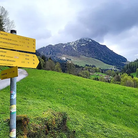 公寓 1 Bergpanorama Und Atemberaubende Alpine Almlandschaft Fuer Absolute Nichtraucher